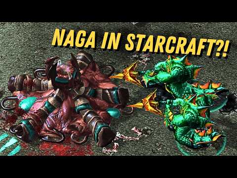The Naga Are in StarCraft 2?! (Warcraft 3 Vs SC2)