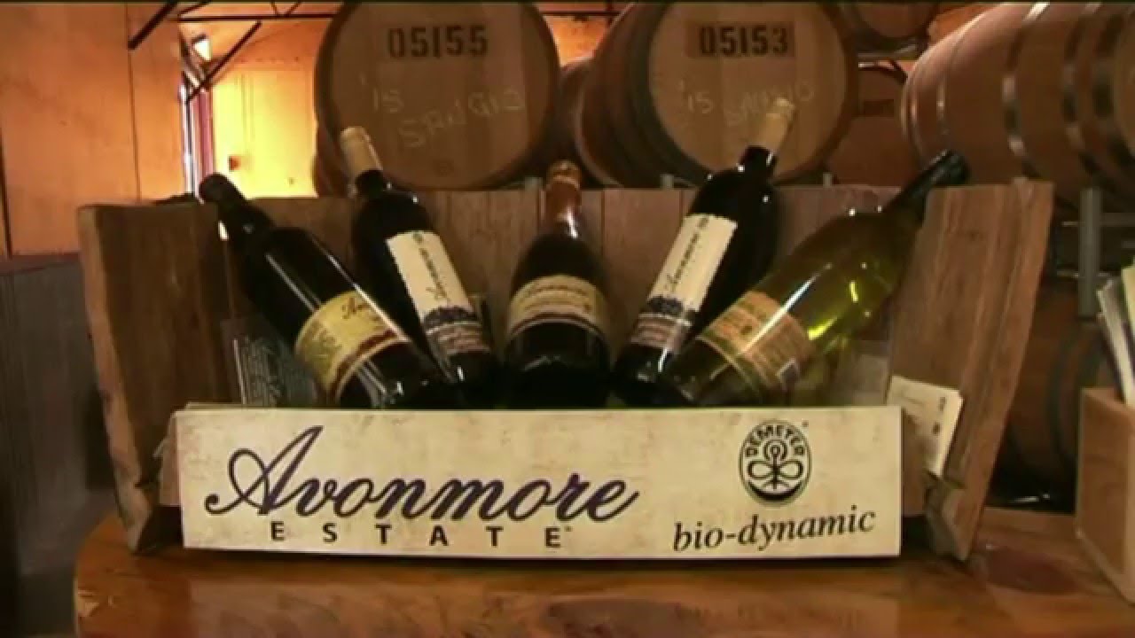 Avonmore Estate Vine to Wine YouTube