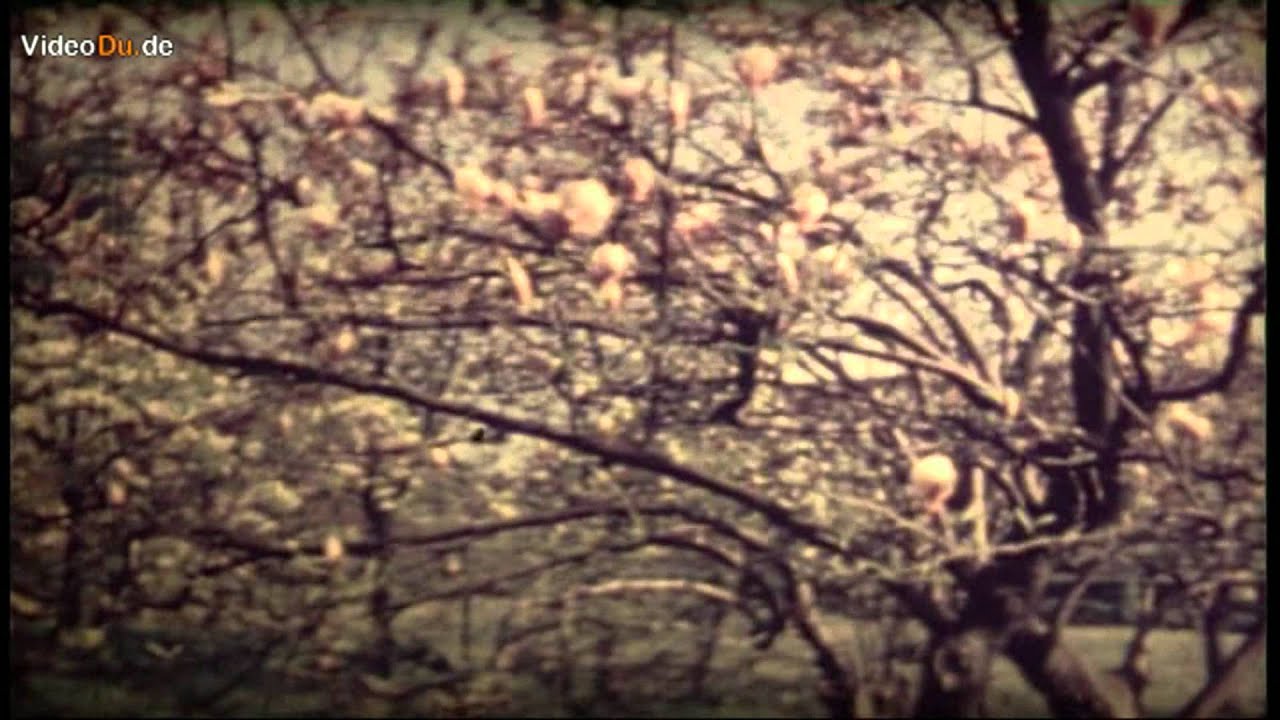 Duisburg Mündelheim in 8 mm Film Teil 2 duisburg germany