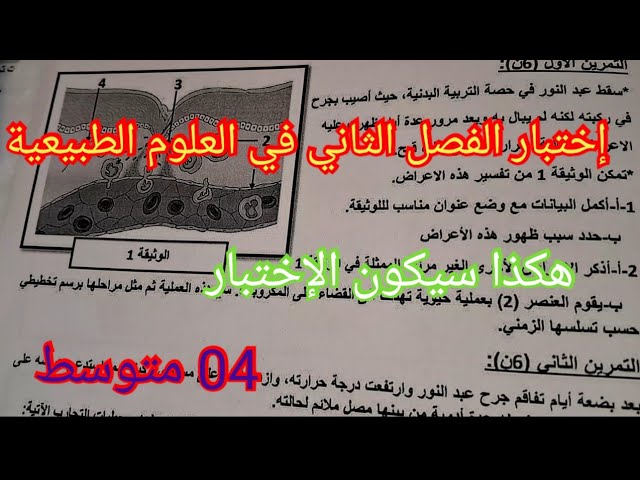 إختبار الفصل الثاني في العلوم الطبيعية السنة الرابعة متوسط 2024
