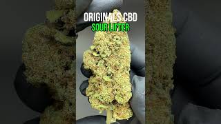 Sour Lifter CBD Flower Sun grown #cbd #hempflower #endocannabinoidsystem