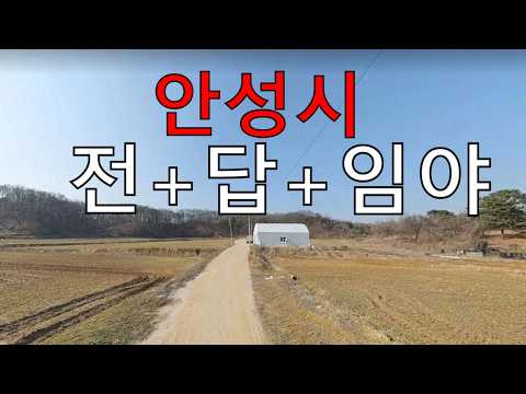 안성시 공시가13억 시세70~169억 전+답+목장용지+임야 건축가 10억월매출5억순수익오리주물럭 노후수익(직불금,벌채,탄소권,태양광 숲6차산업 경매임야공매임야(땅과함께새희망을