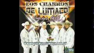 Video thumbnail of "El Pachi Pachi - Los Charros De Lumaco Gracias Chile"