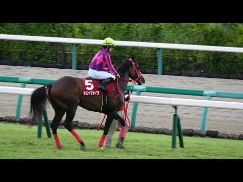 【４Ｋ現地撮影】第６５回産経賞オールカマー（ＧⅡ）トニーファイブ＆藤田菜七子騎手１０着