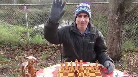 Moshe Rachmuth, Chessbug Black against 1. d4 1. c4 & 1. Nf3 - Intro