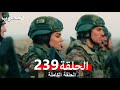    239   