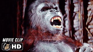 KING KONG Clip - 'Capturing King Kong' (1976)