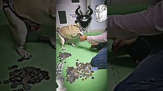 Https:youtube.com/Shorts/Yodyjv0Jvts?Si=Uomhjs2L16Wakorj