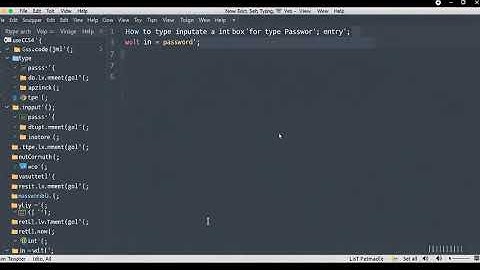 How to Create an Input For Password Entry  Python Tkinter : Fsiblog