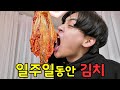 일주일동안 김치만 먹고살기 가능?ㅋㅋㅋ