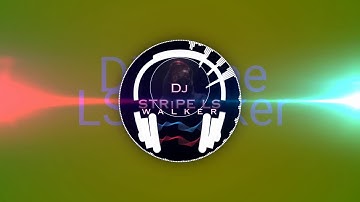 DjStripe LS Walker | NEW EDM PARTY MIX 2020