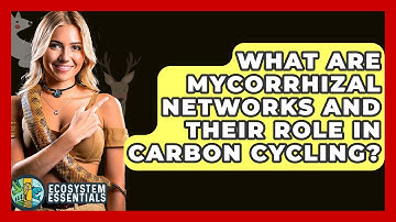 What Are Mycorrhizal Networks And Their Role In Carbon Cycling? - Ecosystem Essentials