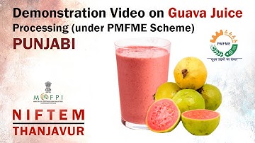 Demonstration Video on Guava Juice Processing (under PMFME Scheme) - PUNJABI