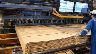 Amazing Plywood Manufacturing Process | Latest Woodworking Machinery Technology