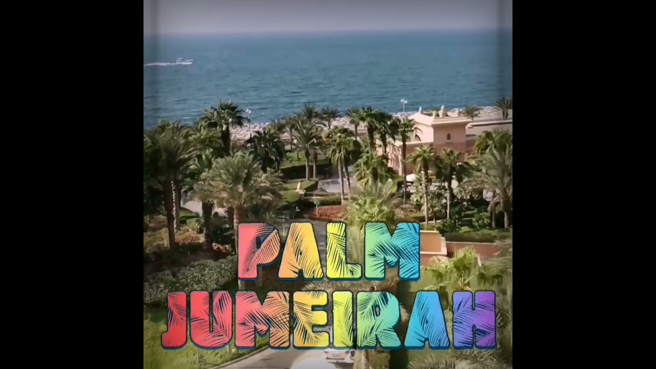 Mansour and Hamad and Salem in Atlantis aqua park playing with the dolphins in the dolphin bay