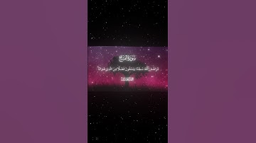 سورة الفتح|29|القارئ:#محمد_اللحيدان #قران #quran #راحة_نفسية #قران_كريم #تلاوة_هادئة#آية#تلاوة_خاشعة