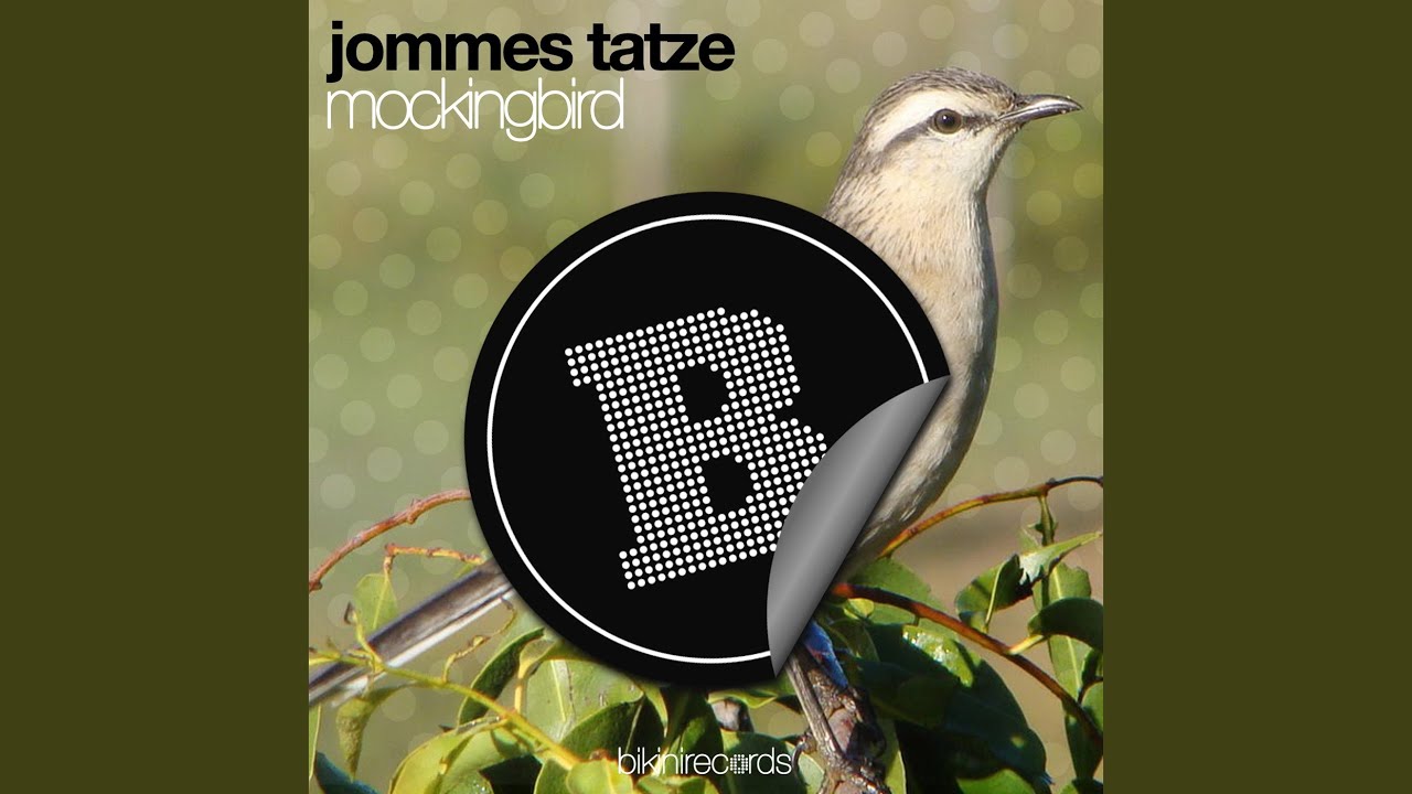 Mockingbird remix daniel. Mockingbird песня ремикс. e1 (3x3) - mockingbird remix. e1 (3x3) - mockingbird remix photo. e1 (3x3) - mockingbird remix photo clip.