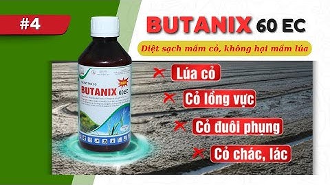 Quản Lý Cỏ Dại Ngay Từ Đầu Vụ Đông Xuân 2025
