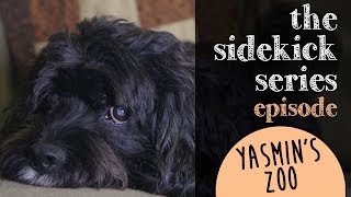 Episode 7: Yasmin's Zoo Episode 7: Yasmin's Zoo