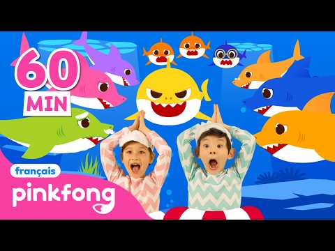 🕺Chansons Baby Shark Incontournables | +Comptine 60min | Pinkfong Bébé Requin ! Chansons pour bébés