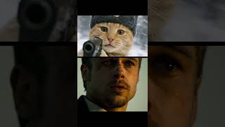 Tiny Kitten Reenacts The Iconic Se7en Moment Tiny Kitten Reenacts The Iconic Se7en Moment