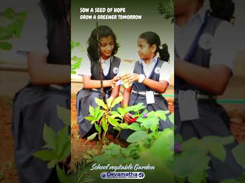 School Video