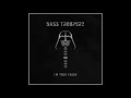 Bass trooperz  skank empire