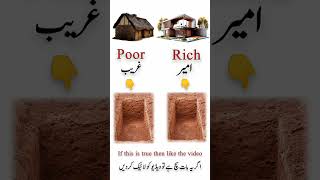 Reality ?? islam quotes reality shorts shortvideos viral viralvideos youtubeshorts