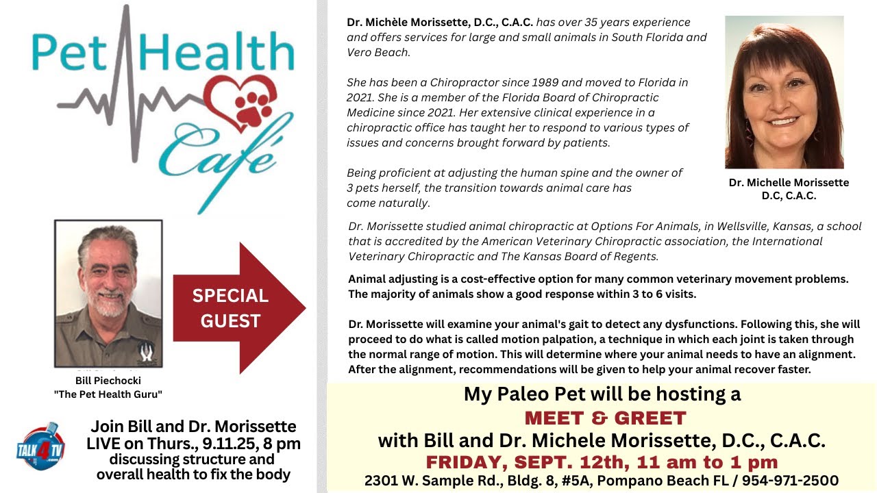 Meet a Chiropractor that specializes in pets!