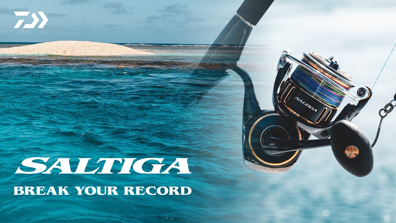 Alcédo - Moulinet DAIWA Saltiga 2020