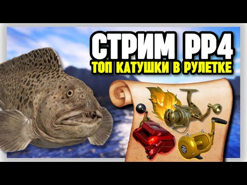 Видео: 🔴 ВЕЧЕРНИЙ СТРИМ РР4┃🎁 Розыгрыш ПРЕМОВ и ЗОЛОТА┃😱 ТОПОВЫЕ СНАСТИ в рулетке┃💥 ТУРНИРЫ и ФАРМ┃maXS1k