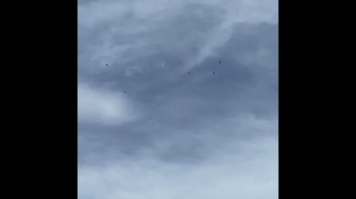 Duvalways “Head Held Up High” (prod. Sogimura)