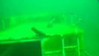 Haigh Quarry: The S.S. Flamingo!