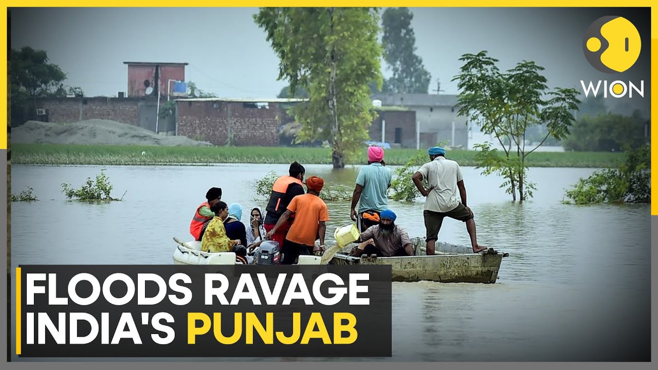 Punjab Floods: 1400 Villages Submerged In Disaster-Hit State In Worst Deluge In Decades | WION