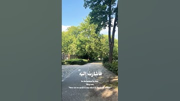 #اكسبلور #قران_كريم #quran #راحة_نفسية #berlin #عبدالباسط_عبدالصمد تلاوة خاشعة..عبدالباسط عبدالصمد