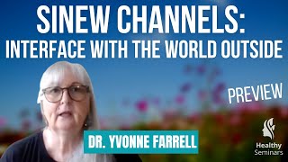 Sinew Channels: Interface with the World Outside - Preview Clip