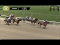 March 1, 2026  Race 4