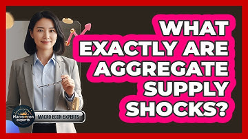 What Exactly Are Aggregate Supply Shocks?