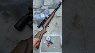 Beeman Chief Ii 45 Yard Accuracy Testing Destroying Targets