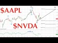 Elliott Wave Of Nvidia, Apple, Blackberry, Dogecoin and Shiba Inu Coin