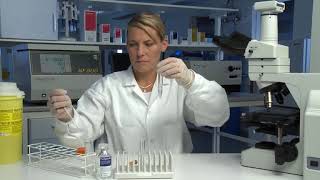 Preparation density gradient PureSperm - Nidacon
