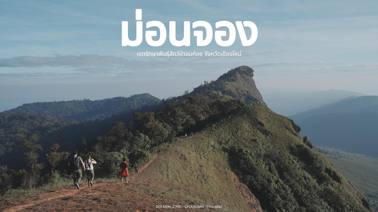 ม่อนจอง - 2วัน1คืน ม่อนจองป่าที่แนะนำสำหรับคนเริ่มเดินที่สุด | Go With The Flow