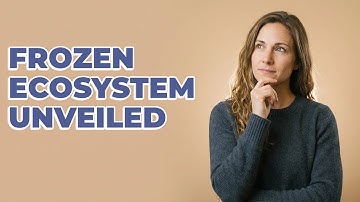 How Does The Tundra Biome Function As An Ecosystem?