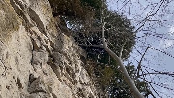 Ric rappelling at Buffalo Crag, Rattlesnake Point