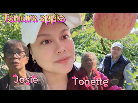 Tamura Apple in Numata Sayamachi #travel scenery #Japan(2025)