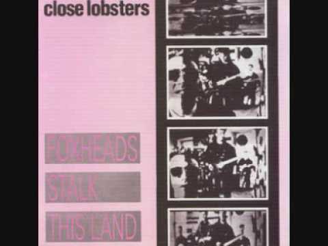 Close Lobsters — close lobsters.- loopholes