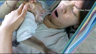 Ohho So Amazing!! Baby Dodo Yawn Open Big Mouth Follow Mama
