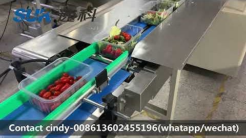 Horizontal flow packaging machine for vegetable fruit
