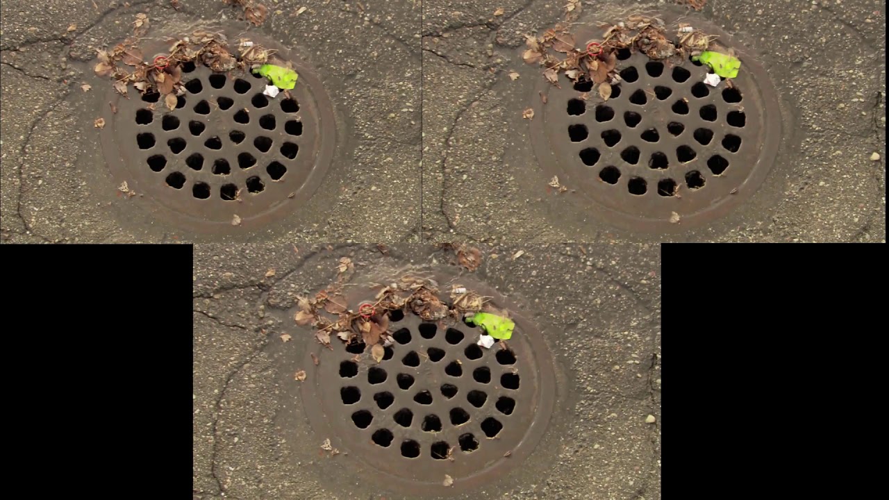 The Rouge River Watershed