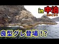 日本有数の尾長グレ釣り場、大三角で磯釣り